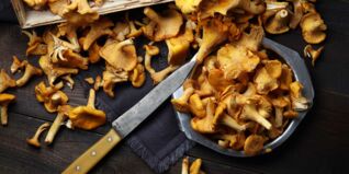 Pfifferlinge Pfifferlinge