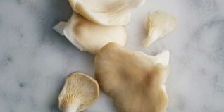 Slow Carb Austernpilze Slow Carb Austernpilze