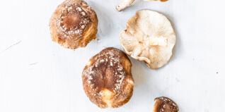 Shiitake-Pilze Shiitake-Pilze