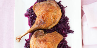 HANS HAAS in „Gans ganz guat” HANS HAAS in „Gans ganz guat”