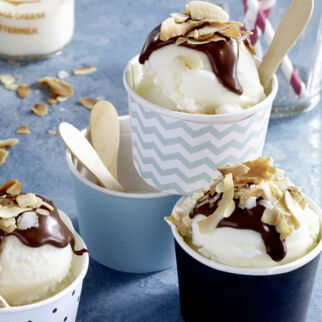 Frozen Yogurt Frozen Yogurt