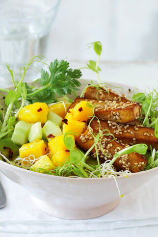 Mango-Gurken-Sprossensalat mit Sesam-Tofu-Sticks Mango-Gurken-Sprossensalat mit Sesam-Tofu-Sticks