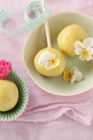 SOMMER-CAKE-POPS SOMMER-CAKE-POPS