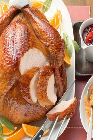 Thanksgiving-Truthahn mit Preiselbeersauce und Süßkartoffelbrei Thanksgiving-Truthahn mit Preiselbeersauce und Süßkartoffelbrei