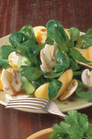 Feldsalat mit Äpfeln und Pilzen Feldsalat mit Äpfeln und Pilzen
