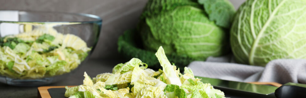 Unsere-Lieblingsrezepte-im-Januar Unsere-Lieblingsrezepte-im-Januar