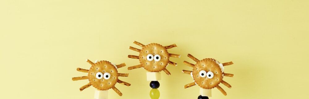 Knabberspinnen Knabberspinnen