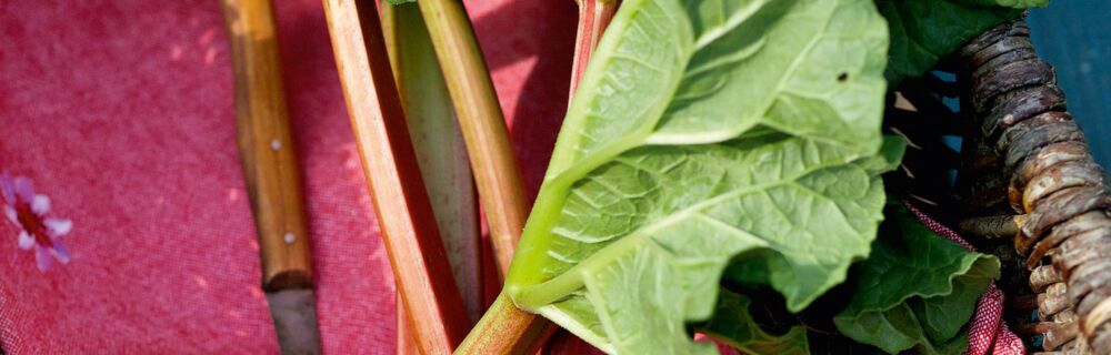 Saisonkalender Obst Gemüse Mai Saisonkalender Obst Gemüse Mai