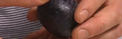 Frische Feigen Frische Feigen