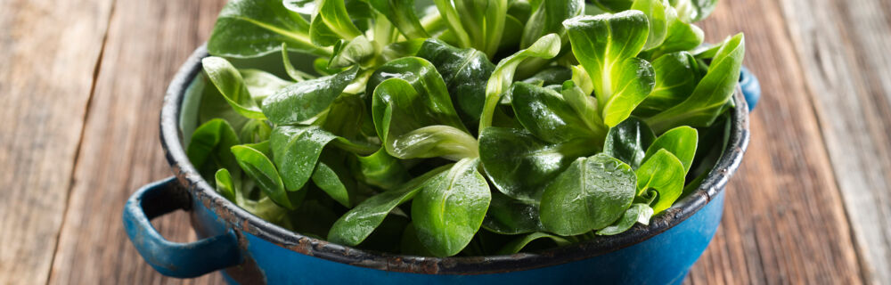 Lieblingsrezepte-im-Februar Lieblingsrezepte-im-Februar