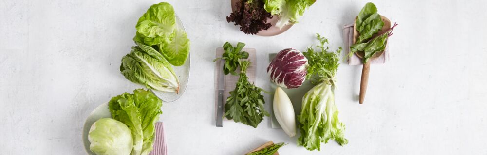 Verschiedene Blattsalate Verschiedene Blattsalate