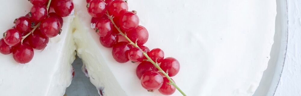 Panna-Cotta-Torte Panna-Cotta-Torte