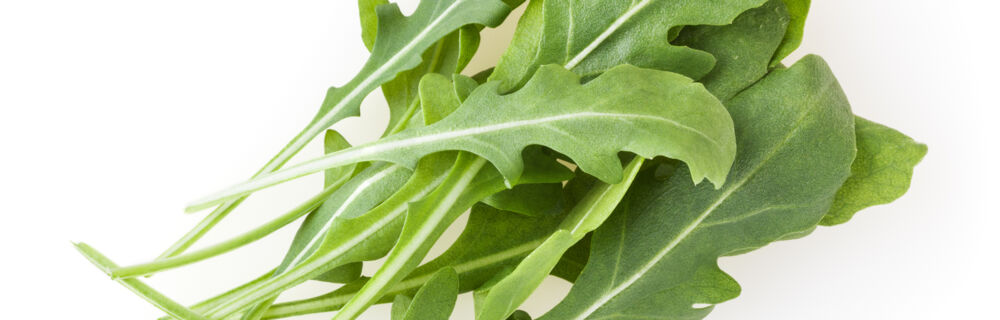 Wasabi-Rauke Wasabi-Rauke