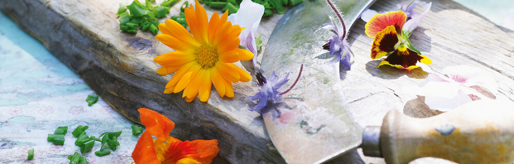 Sommerküche, Blüten und Schnittlauch werden gehackt, Step Küchenglossar Unterseiten Rezepte H-K