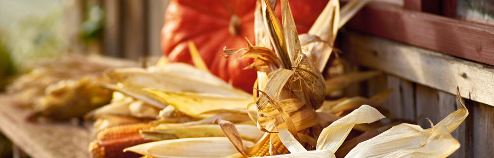 Saisonkalender Obst Gemüse Oktober Saisonkalender Obst Gemüse Oktober