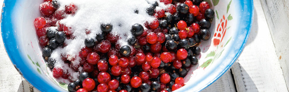 Landküche, gezuckerte rote und schwarze Johannisbeeren Johannisbeeren Unterseite Rezepte Desserts