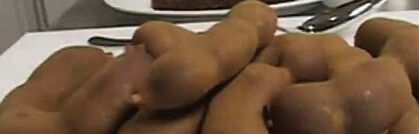 Tamarinde und ihre Verwendungsmöglichkeiten Tamarinde und ihre Verwendungsmöglichkeiten