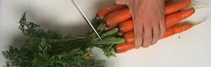 Möhren richtig putzen und verarbeiten Möhren richtig putzen und verarbeiten