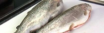 Fisch richtig dämpfen Fisch richtig dämpfen