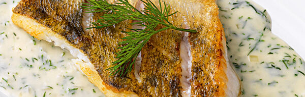 Zander in Dill-Sauce Zander in Dill-Sauce