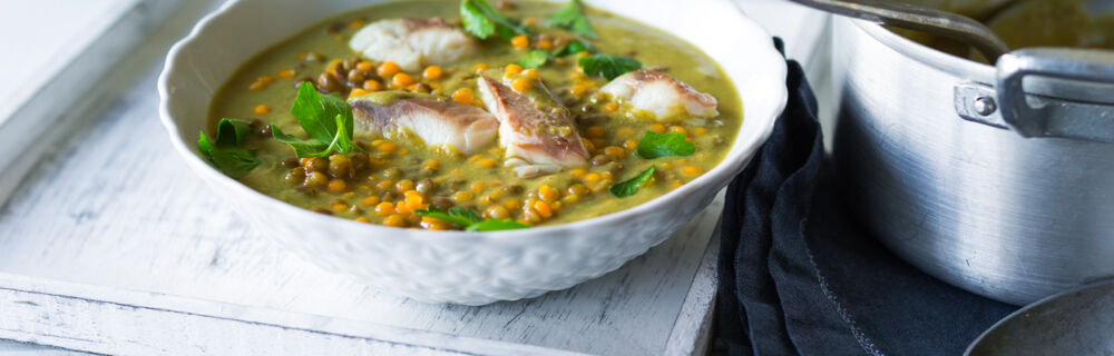 Cholesterin Rezepte Cholesterin Rezepte