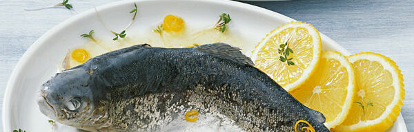 Forelle blau Forelle blau