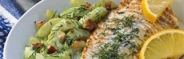 Zander mit Schmorgurken Zander mit Schmorgurken