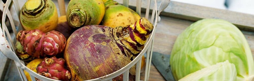 Saisonkalender Obst Gemüse November Saisonkalender Obst Gemüse November