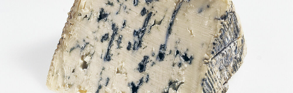 Blauschimmelkäse Blauschimmelkäse