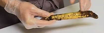 Schwarzwurzeln richtig putzen und verarbeiten Schwarzwurzeln richtig putzen und verarbeiten