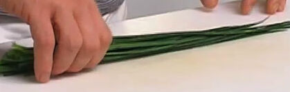 Schnittlauch richtig putzen und verarbeiten Schnittlauch richtig putzen und verarbeiten