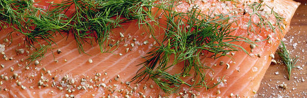 Graved Lachs Graved Lachs