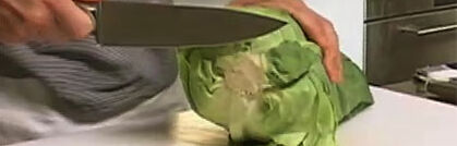 Spitzkohl richtig putzen und verarbeiten Spitzkohl richtig putzen und verarbeiten