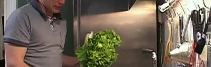 Endiviensalat richtig putzen und verarbeiten Endiviensalat richtig putzen und verarbeiten