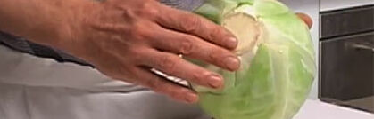 Weißkohl richtig putzen und verarbeiten Weißkohl richtig putzen und verarbeiten