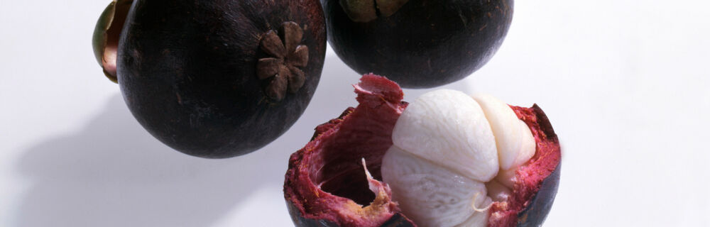 Mangostane Mangostane