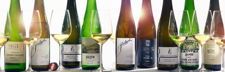 Weinkunde-Aufmacher Weinkunde-Aufmacher