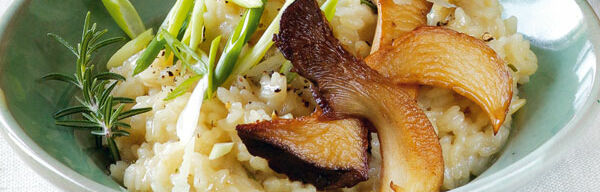 Rosmarin-Risotto mit Kräuterseitlingen Rosmarin-Risotto mit Kräuterseitlingen