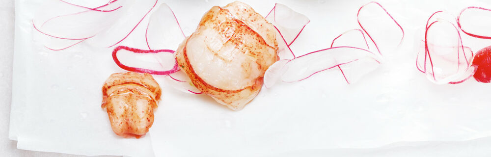 Wassermelonenrettich Wassermelonenrettich