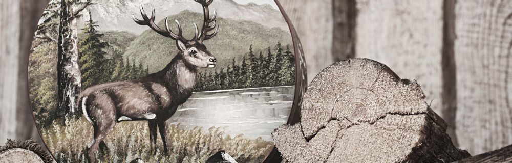 Geschichten über Wild Geschichten über Wild