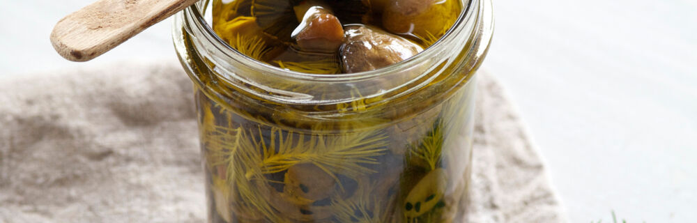 Pilze in Olivenöl mit Tannenspitzen Pilze in Olivenöl mit Tannenspitzen