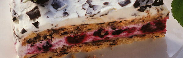 Stracciatella-Brombeer-Torte Stracciatella-Brombeer-Torte