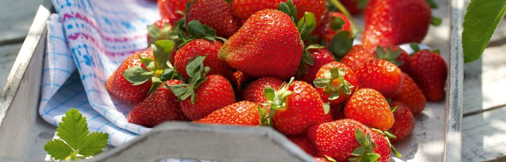 Saisonkalender Obst Gemüse Juni Saisonkalender Obst Gemüse Juni