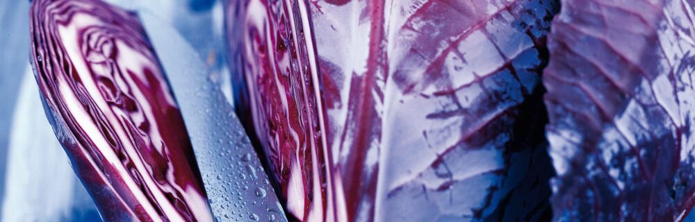 Saisonkalender Obst Gemüse Dezember Saisonkalender Obst Gemüse Dezember