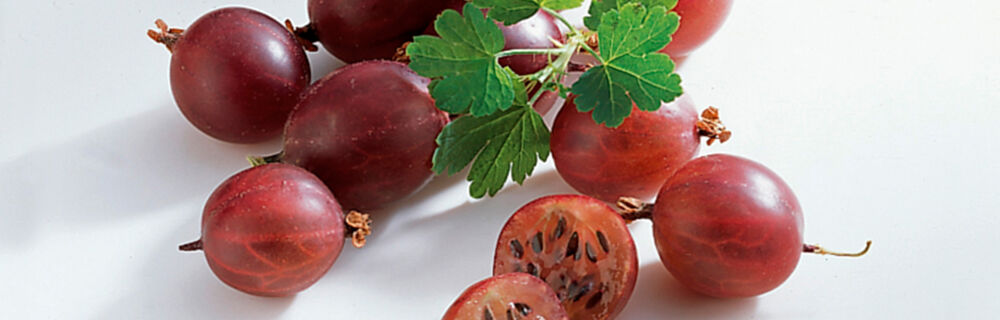 Stachelbeeren Stachelbeeren