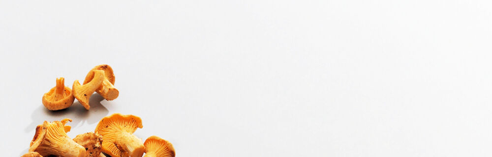 Pfifferlinge Pfifferlinge