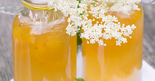 Zitronengelee mit Holunderblüten Rezept | Küchengötter