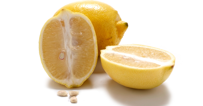 Zitronen-Rezepte | Küchengötter