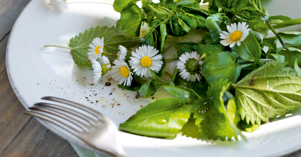 Brunnenkressesalat Mit Wildkräutern Und Blüten Rezept | Küchengötter