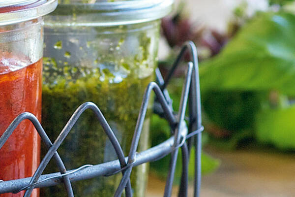 Hausgemachtes Pesto Genovese Rezept Kuchengotter